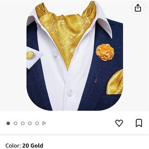 New gold DiBanGu 4 PCS Ascot Ties, Pocket Square ,Cufflinks w/Floral Lapel Pin